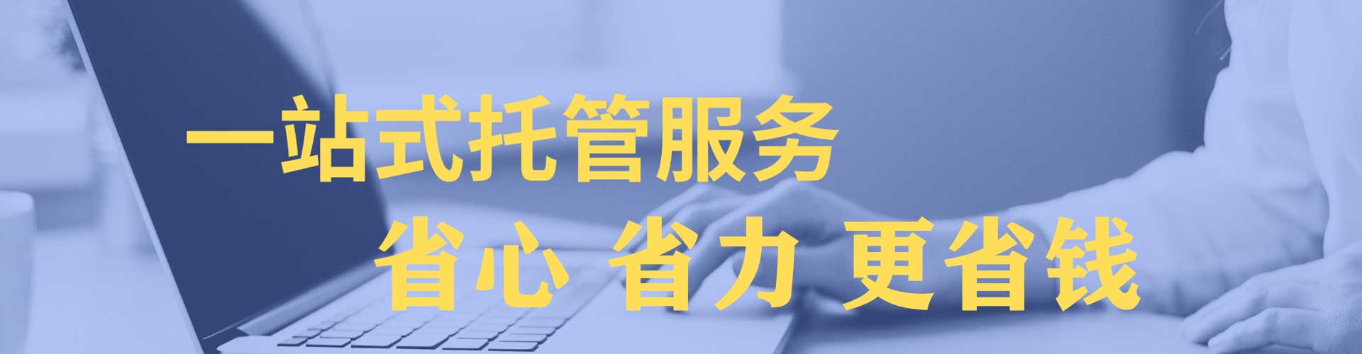 贞丰sem托管